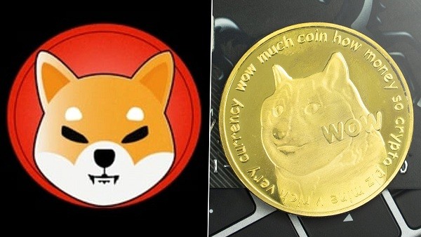 Do You Know About Shiba Inu Coin From Crypto World Is Shiba Inu Coin Became The Next Doge Coin News Fair Com