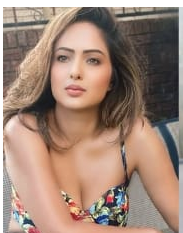 Who is Nikesha Patel, Know about Nikesha Patel Biography, Net Worth, Age, Height, News, Husband, Boyfriend, Earnings & Religion
